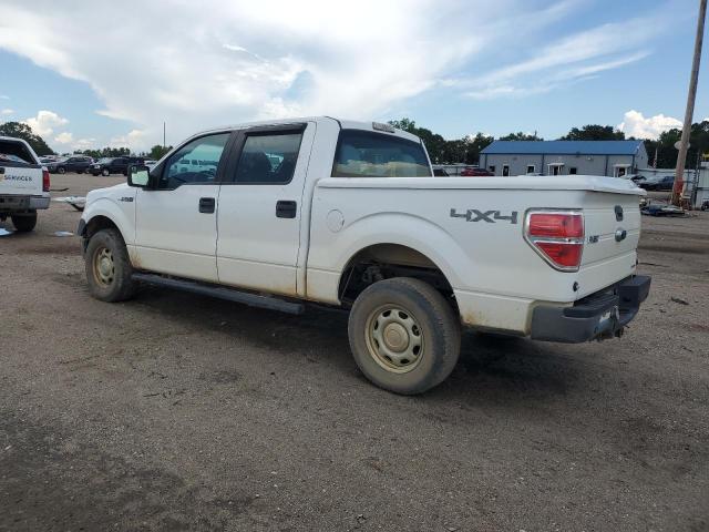 2014 FORD F150 SUPER - 1FTFW1EF6EKG21458