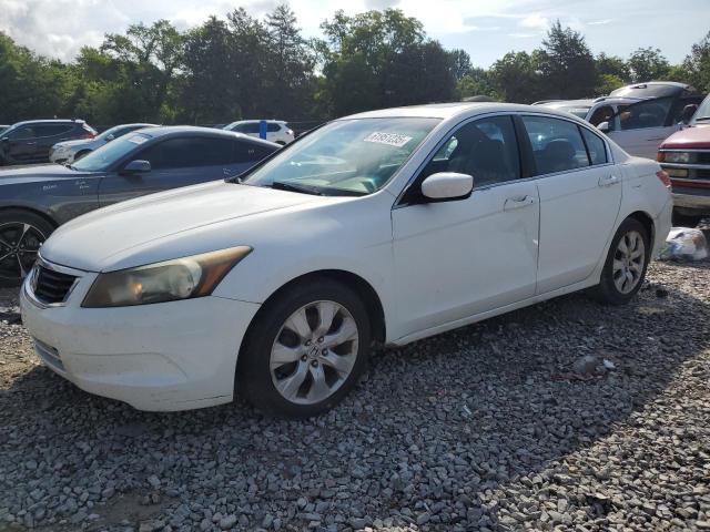 Vin: 1hgcp2f8xaa161535, lot: 61951235, honda accord exl 2010 img_1