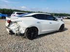 Lot #3294406503 2017 NISSAN MAXIMA 3.5S