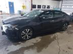 2017 NISSAN MAXIMA 3.5 - 1N4AA6AP2HC399719