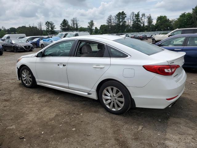 2016 HYUNDAI SONATA SPO 5NPE34AF5GH283161