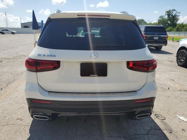 2023 MERCEDES-BENZ GLB 250 W1N4M4GB8PW326147