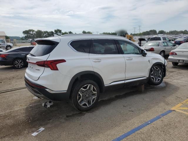 2023 HYUNDAI SANTA FE L - 5NMS4DAL4PH531189
