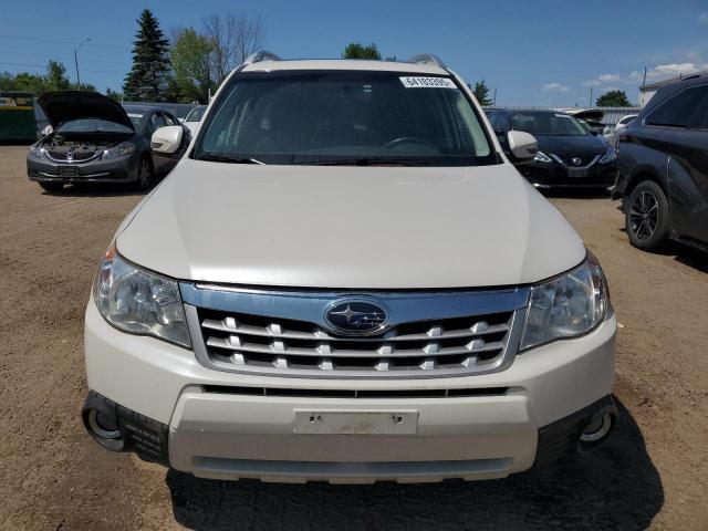 2013 SUBARU FORESTER 2 - JF2SHCDC2DH422853