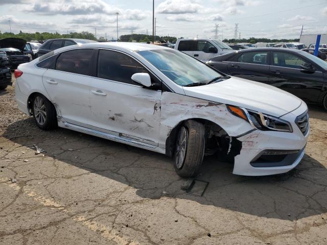 2016 HYUNDAI SONATA SPO - 5NPE34AF7GH272453