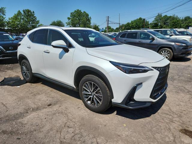 2025 LEXUS NX 350 BAS 2T2AGCEZ2SC073402