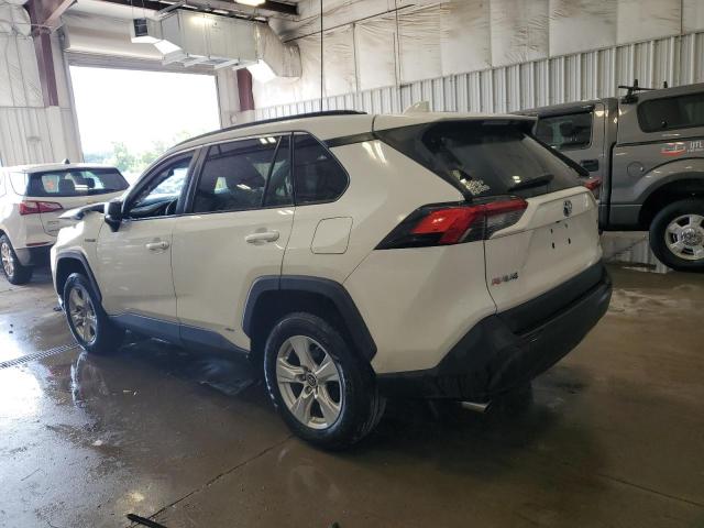 2019 TOYOTA RAV4 LE - 2T3LWRFV0KW024235