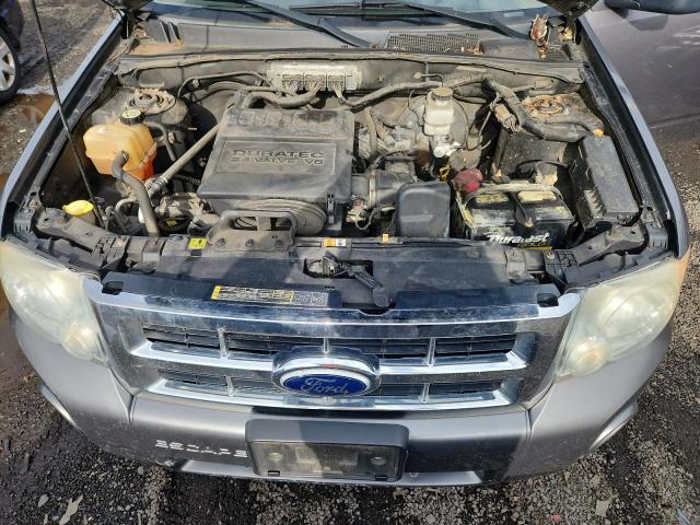 2010 FORD ESCAPE XLT - 1FMCU9DG2AKC90515