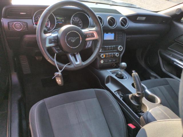 2019 FORD MUSTANG 1FA6P8TH8K5193404