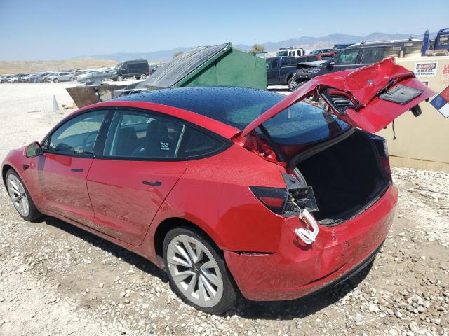 2023 TESLA 3 5YJ3E1EA5PF454956