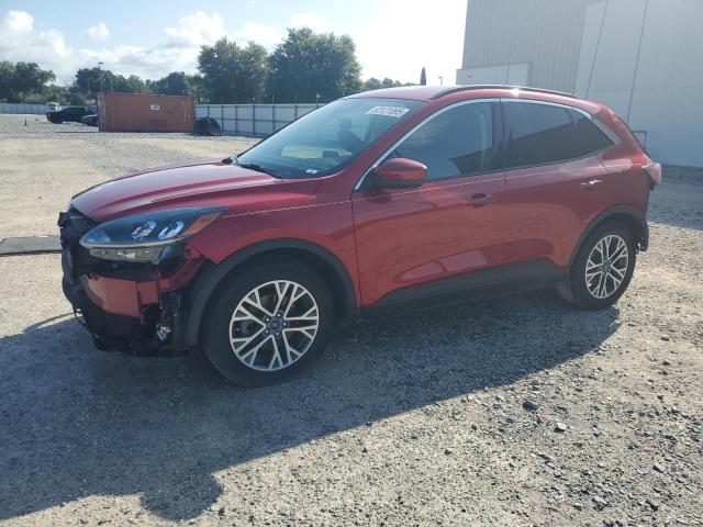 FORD ESCAPE SEL