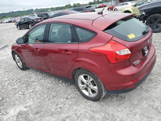 2014 FORD FOCUS SE - 1FADP3K25EL283228