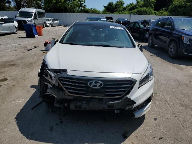 2016 HYUNDAI SONATA SPO - 5NPE34AF4GH334102