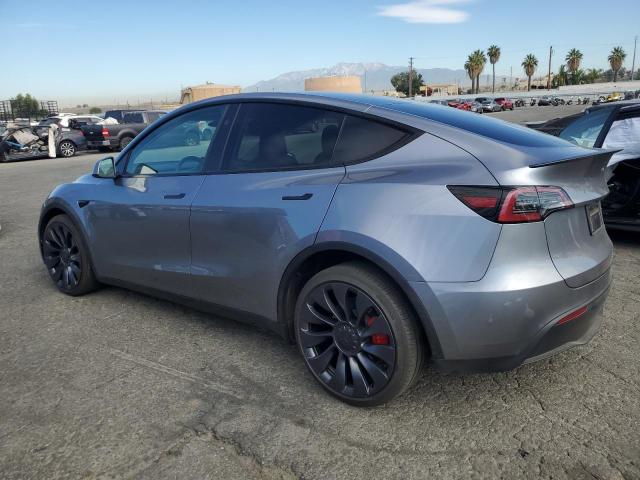 2024 TESLA MODEL Y 7SAYGDEF1RA312703