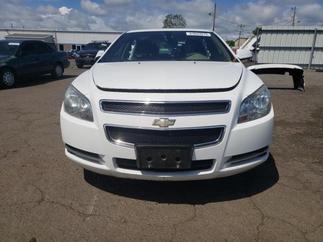 2010 CHEVROLET MALIBU 1LT - 1G1ZC5EB5AF315194