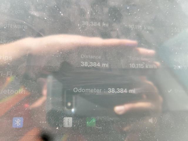 2023 TESLA MODEL Y - 7SAYGDEE4PF674869