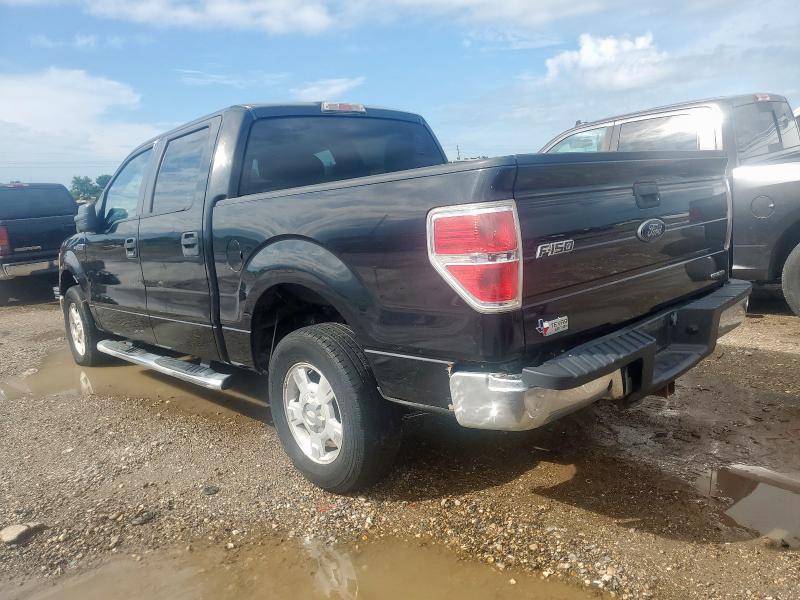 Vin: 1ftfw1cf9dfa60179, lot: 64220195, ford f-150 supercrew 20132
