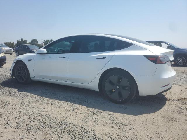 2023 TESLA MODEL 3 - 5YJ3E1EA6PF584342