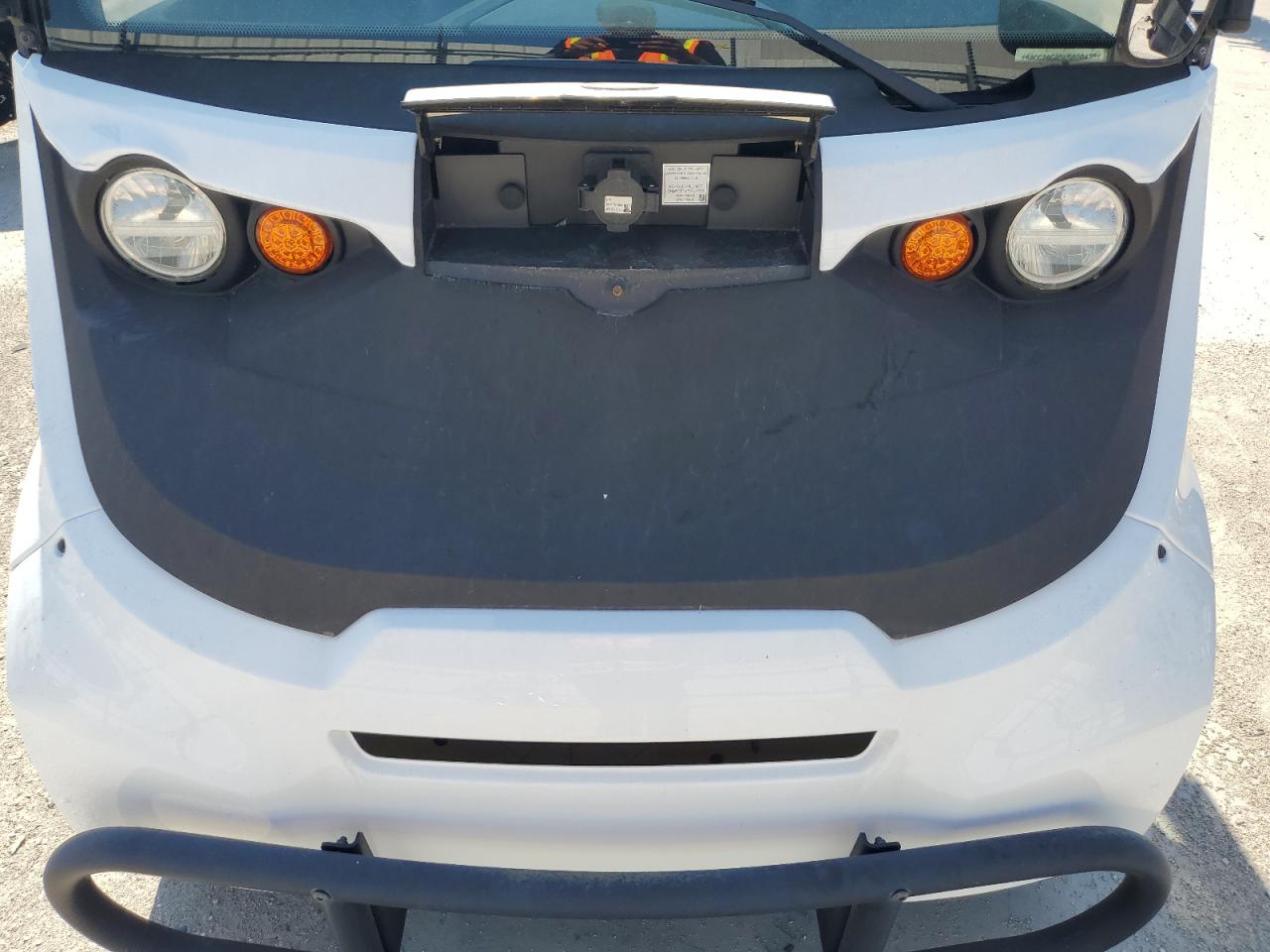 Lot #3274737800 2019 GLOBAL ELECTRIC MOTORS E2