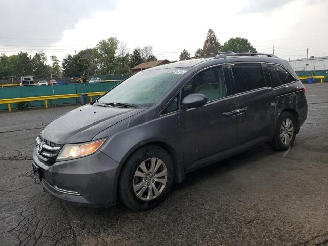 5FNRL5H64EB024590 2014 HONDA All Models
