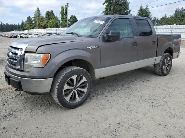 FORD F150 SUPER 2009 two tone  flexible fuel 1FTPW14V69FA77815 photo #1