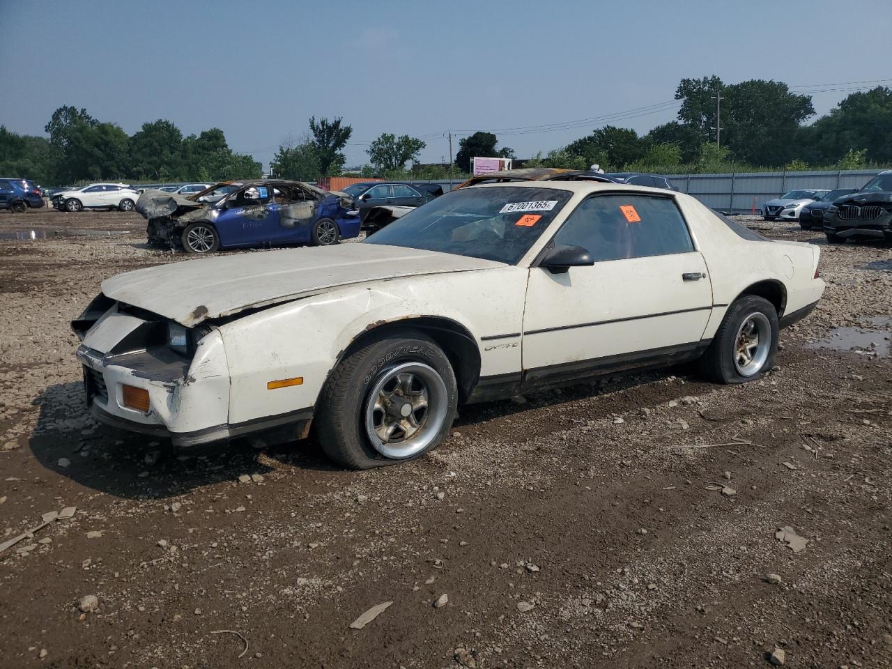 Lot #3302691039 1986 CHEVROLET CAMARO