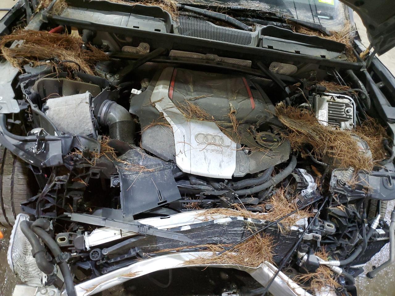 AUDI SQ5 PREMIUM PLUS