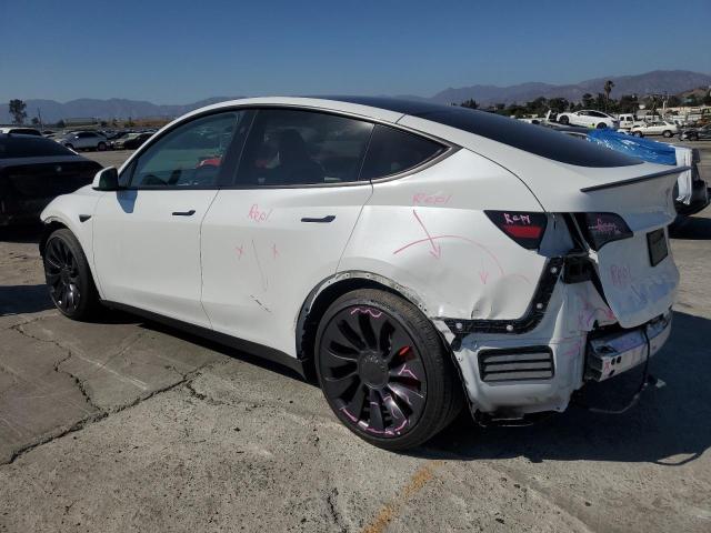 2024 TESLA MODEL Y 7SAYGDEF8RF131584