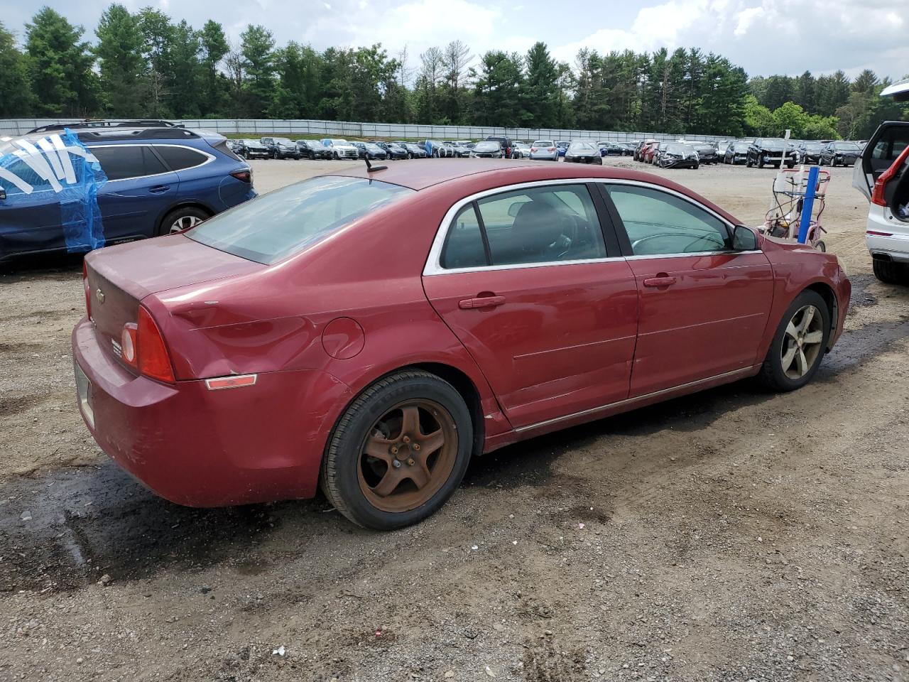 CHEVROLET MALIBU 1LT