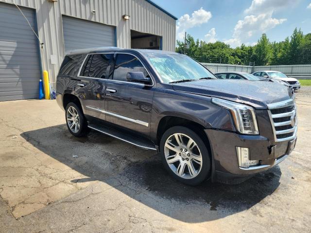 2015 CADILLAC ESCALADE P - 1GYS4CKJXFR296440