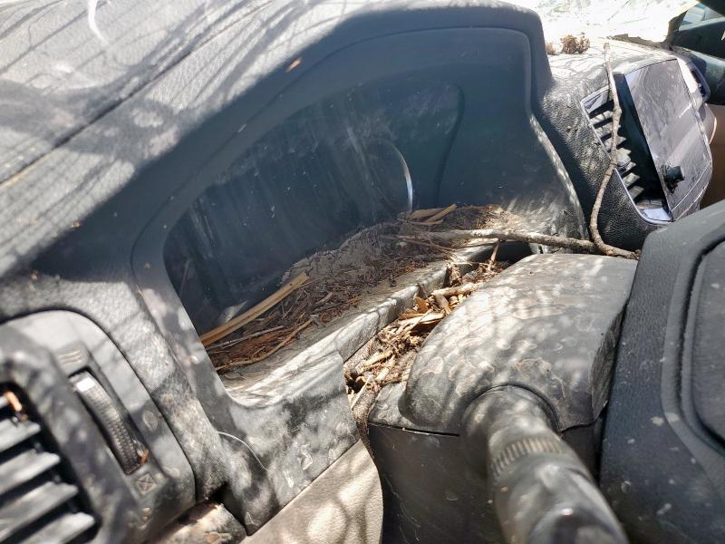 2019 HONDA PILOT TOUR 5FNYF5H9XKB026921