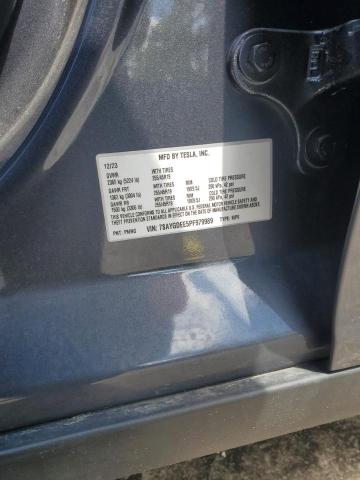 2023 TESLA MODEL Y - 7SAYGDEE5PF979989