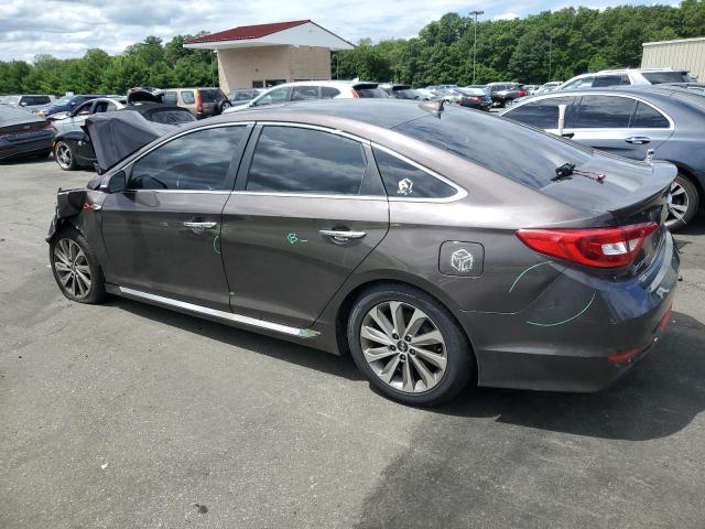 2016 HYUNDAI SONATA SPO 5NPE34AF4GH431610