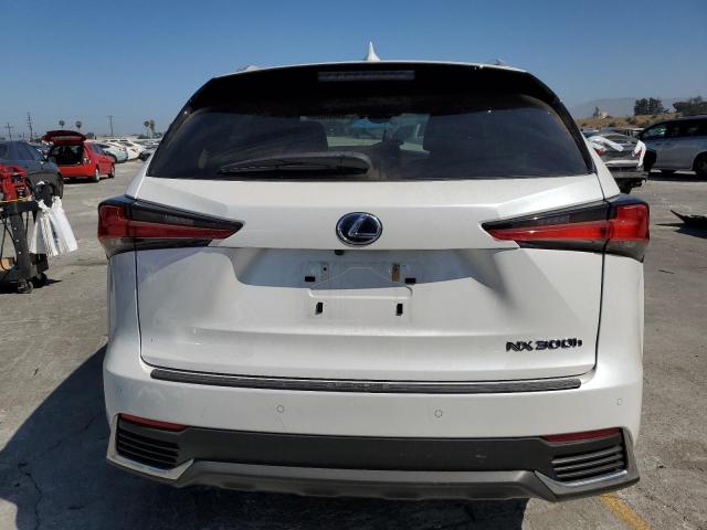 2021 LEXUS NX 300H BA JTJDJRDZ7M2169614