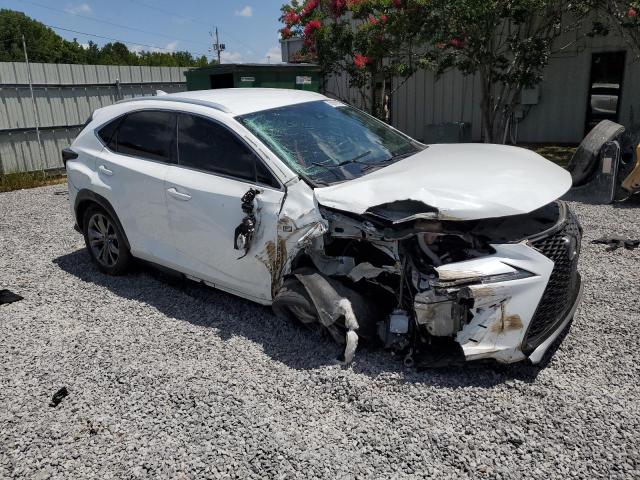 2020 LEXUS NX 300 F SPORT - JTJJARBZ8L5005436