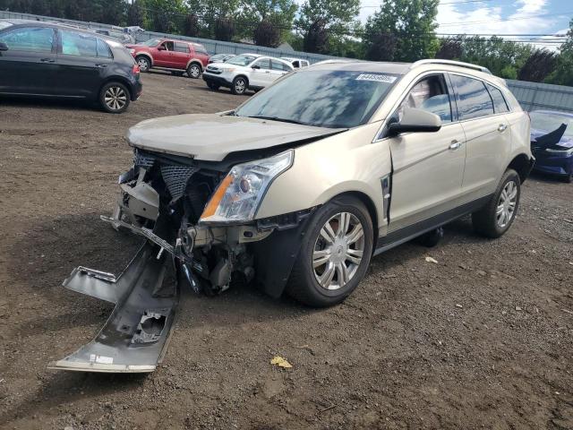 2011 CADILLAC SRX LUXURY - 3GYFNDEY1BS510929