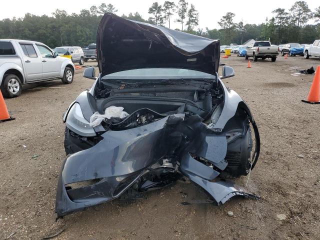 2024 TESLA MODEL Y 7SAYGDED4RF122556