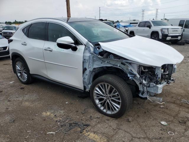 2024 LEXUS NX 350 LUX 2T2HGCEZ2RC034351