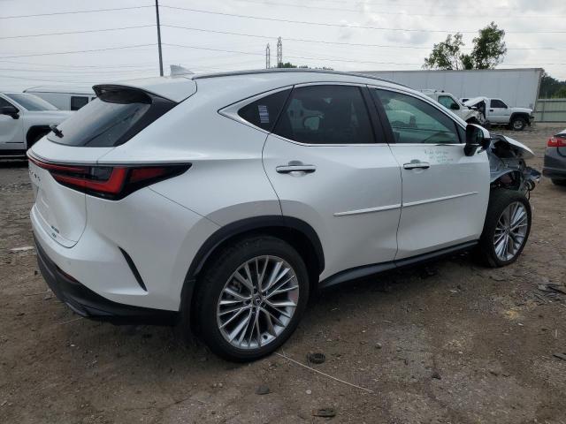 2024 LEXUS NX 350 LUX 2T2HGCEZ2RC034351