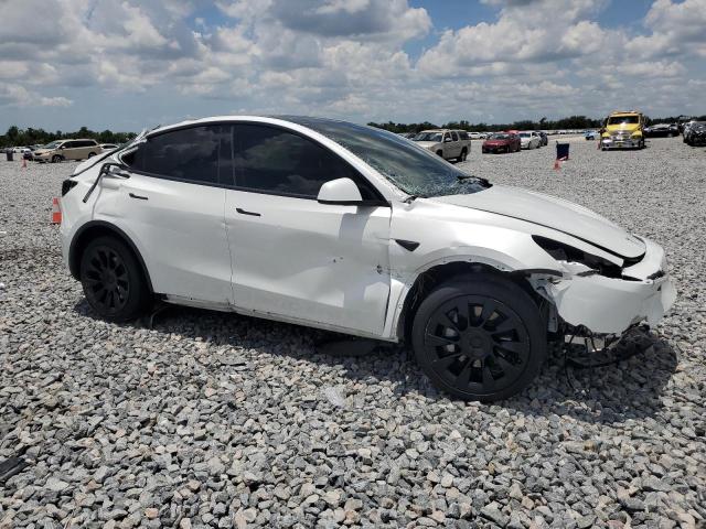 2024 TESLA MODEL Y 7SAYGDED3RF008242
