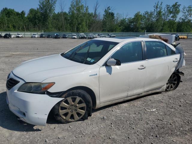 TOYOTA CAMRY HYBR
