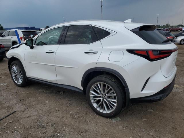 2024 LEXUS NX 350 LUX 2T2HGCEZ2RC034351