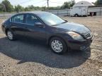 Lot #3301606656 2009 NISSAN ALTIMA