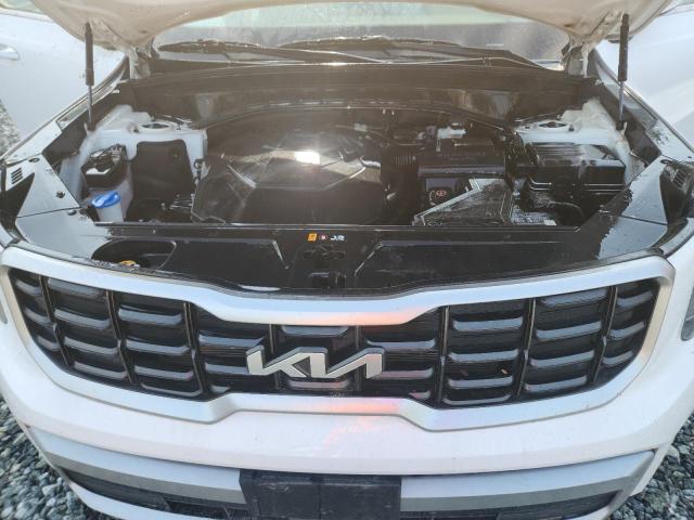 2024 KIA TELLURIDE 5XYP6DGC1RG495594