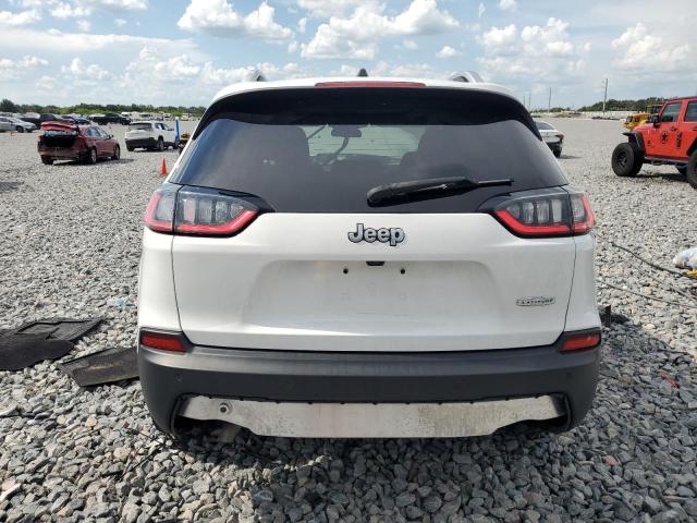 2019 JEEP CHEROKEE L - 1C4PJLLB9KD392353
