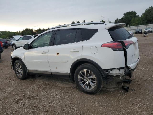 2016 TOYOTA RAV4 HV XL JTMRJREV0GD019826