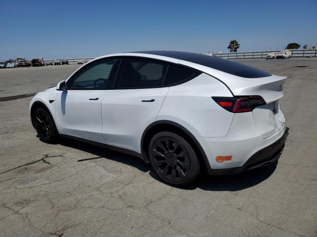 2020 TESLA MODEL Y 5YJYGDEF2LF004253