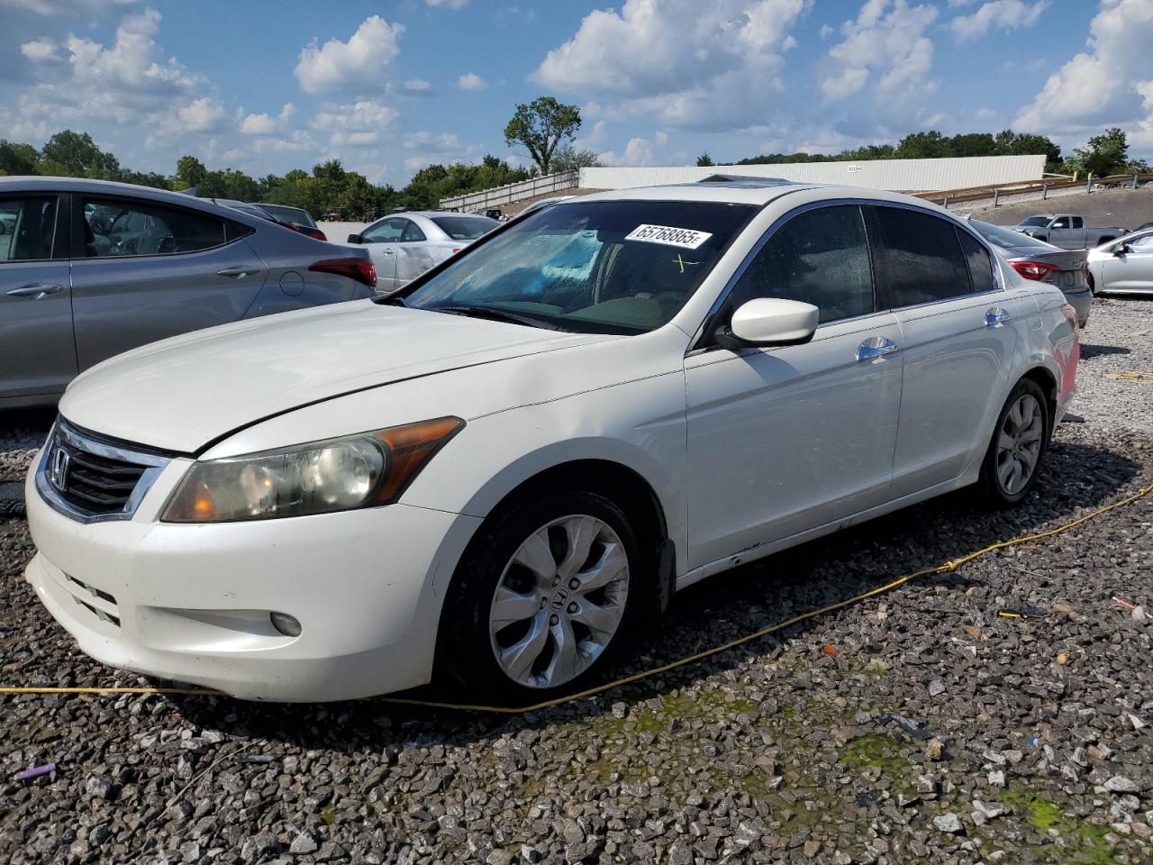 Lot #3213724329 2009 HONDA ACCORD EXL