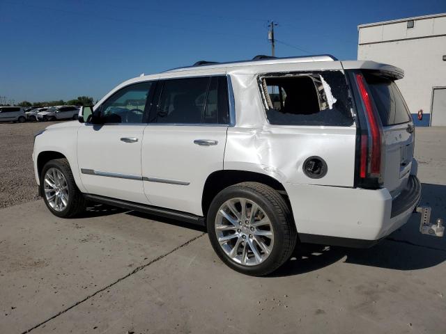2019 CADILLAC ESCALADE P 1GYS4CKJ6KR177679