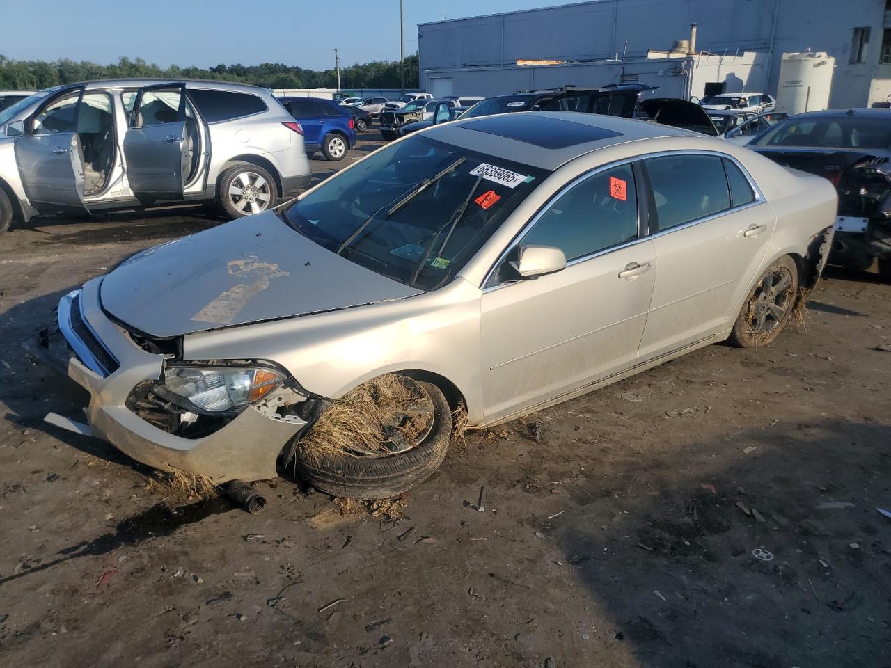 CHEVROLET MALIBU 1LT